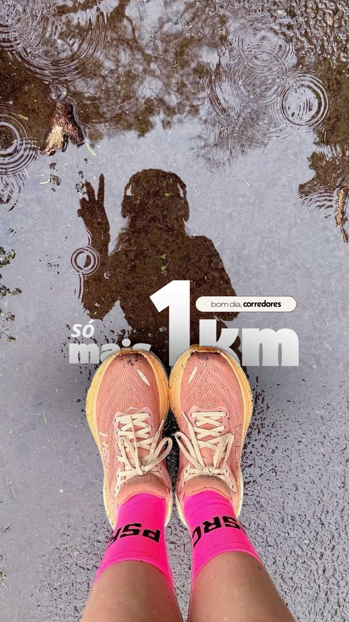 2684C9CF-D474-4BDD-ABF3-B8052C64CFA7 3