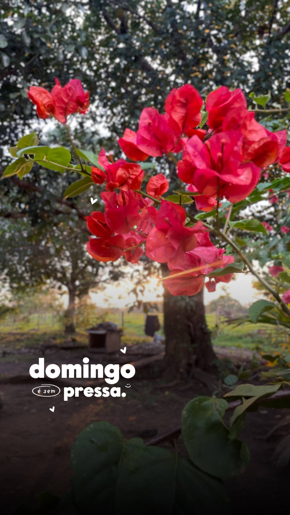 39AE0E28-6CEF-48B2-8B4D-BC0D742782D6