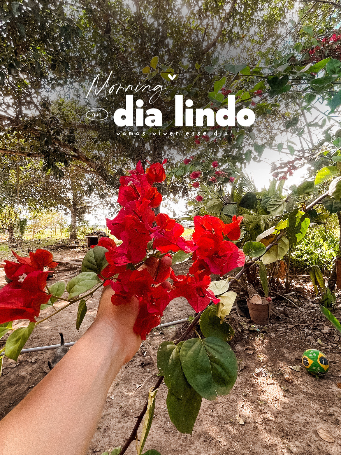 6FC88C08-CD58-48D1-95C6-1011B6FCFEA8 2