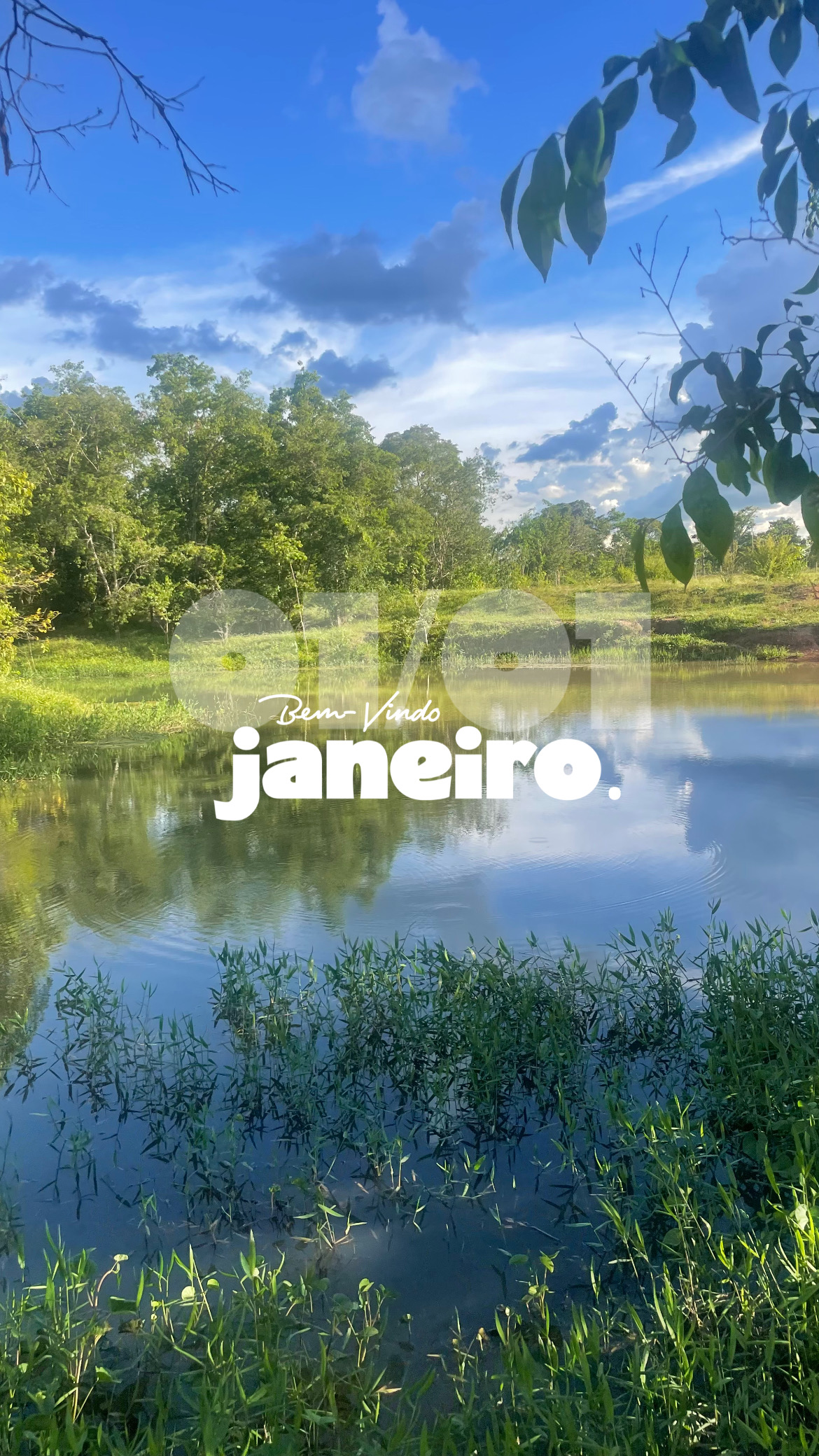 F24E4D10-61D8-4164-AAF6-71DFA826935B